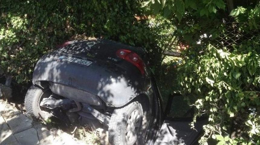 K&ouml;peğe &Ccedil;arpmamak İ&ccedil;in Otomobiliyle Sitenin Bah&ccedil;esine D&uuml;şt&uuml;