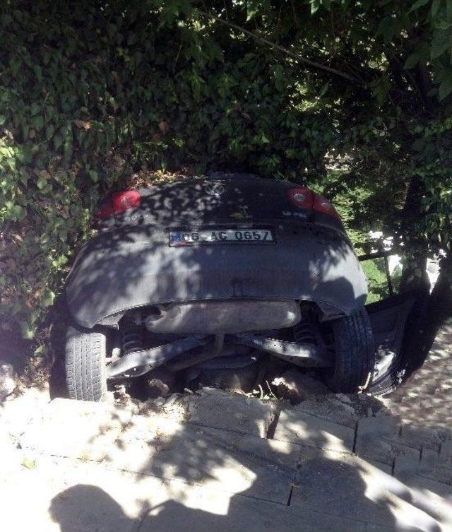 K&ouml;peğe &Ccedil;arpmamak İ&ccedil;in Otomobiliyle Sitenin Bah&ccedil;esine D&uuml;şt&uuml; 1