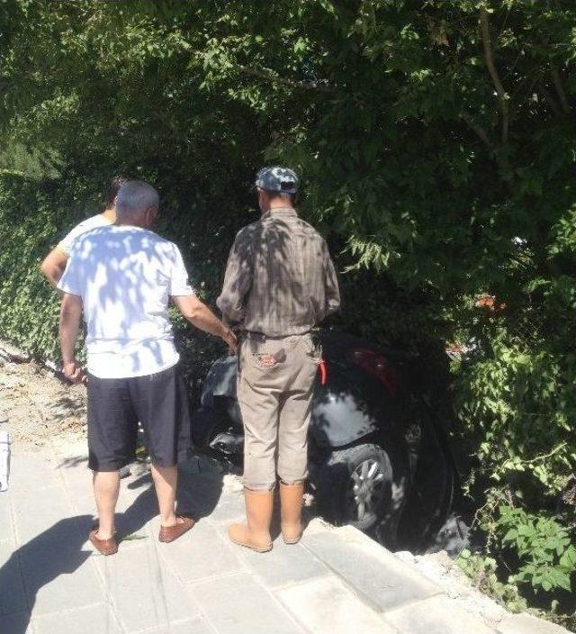 K&ouml;peğe &Ccedil;arpmamak İ&ccedil;in Otomobiliyle Sitenin Bah&ccedil;esine D&uuml;şt&uuml; 2