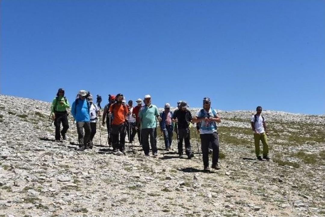 Altepe Zirveye Y&uuml;r&uuml;d&uuml;