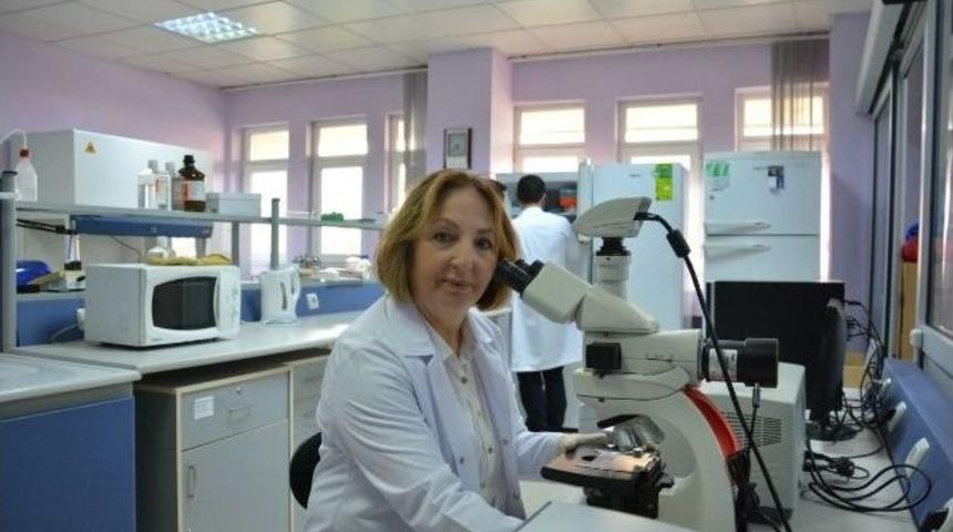 Prof. Dr. G&uuml;ll&uuml;ce; &ldquo;t&uuml;m &Ccedil;alışanlarını Kucaklayan, Huzurlu Ve Bilim Odaklı Bir &Uuml;niversite Vaat Ediyorum&rdquo;