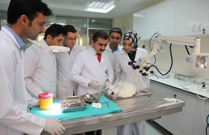 Gaün Rektör Adayı Prof. Dr. Cahit Bağcı: G4