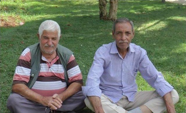 (özel Haber) Türkiye’deki İlk Böbrek Nakillerinden Biri Ona Yapıldı