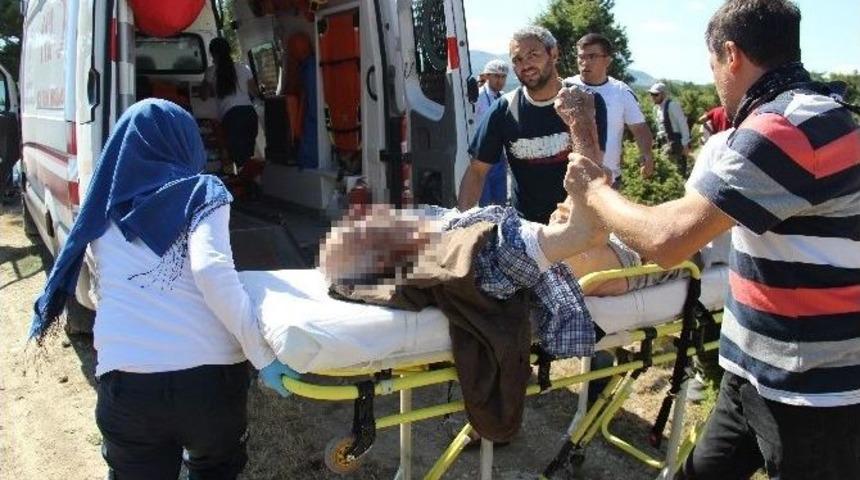 Park Halindeki Minib&uuml;s&uuml;n Freni Boşaldı: 1 &Ouml;l&uuml;