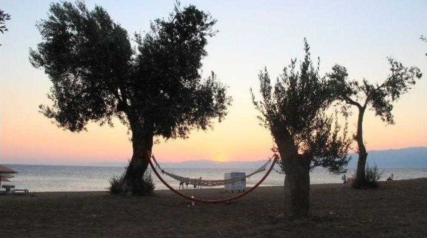 Tatil Bitti Sahiller Boşaldı