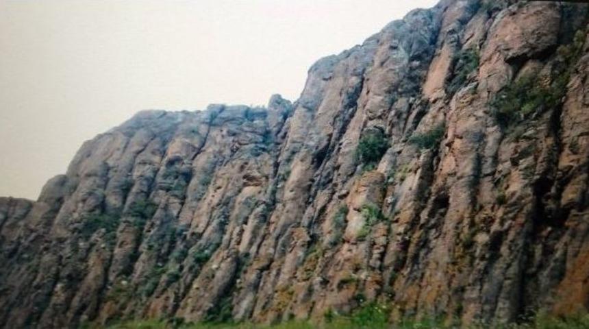 Kars&rsquo;ta Ayı Saldırısı: 2 &Ouml;l&uuml;, 2 Yaralı