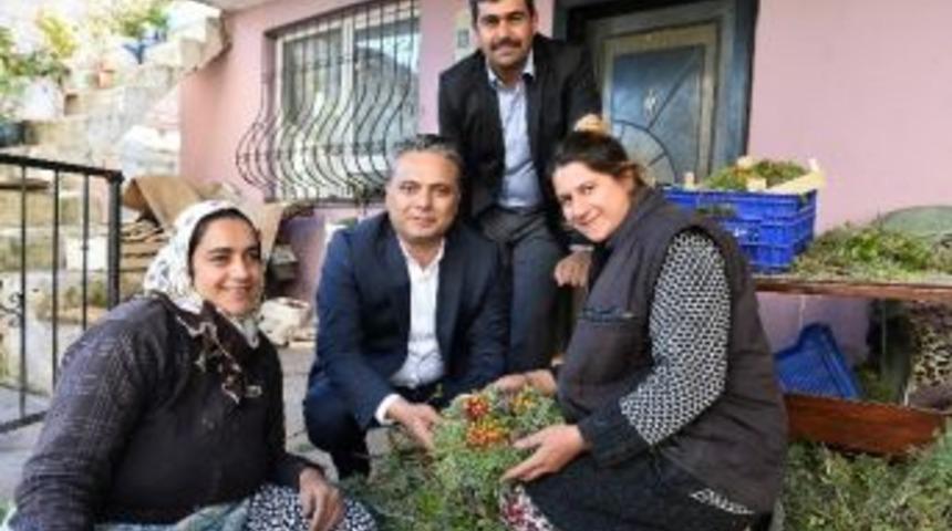 Zeytink&ouml;yl&uuml; Kadınlar İ&ccedil;in &Ouml;zel Proje