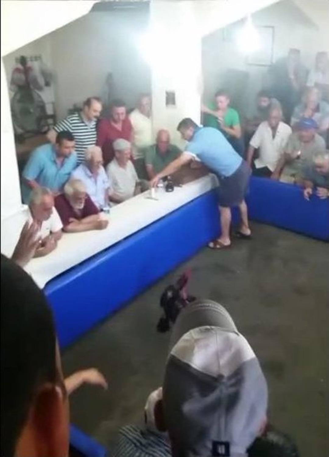 &rsquo;horoz Festivali&rsquo;ni Basan Polis 61 Horozu Kurtardı