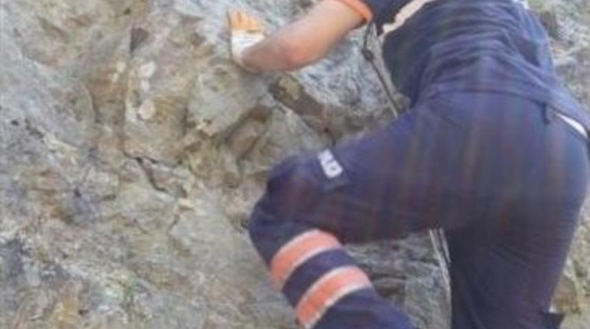 Kocaeli&rsquo;de Afad Ekiplerinin Bayramı Yoğunluğu