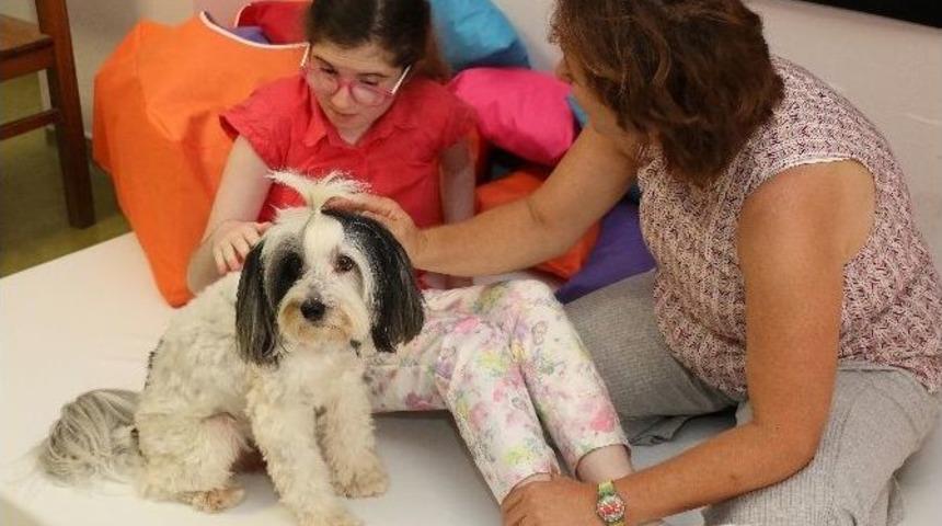 Engelli &Ccedil;ocuklara K&ouml;pekle Terapi