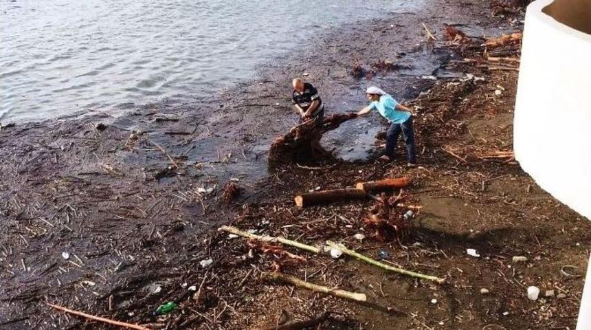 Kışlık Odunlarını Denizden &Ccedil;ıkardılar