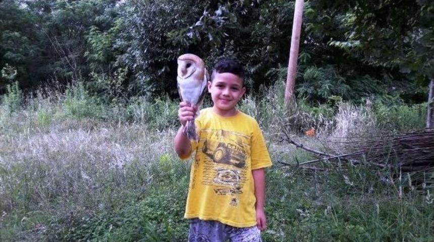 Yaralı Baykuşa Sahip Çıktılar