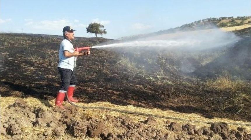 Siirt&rsquo;te 2 Bin D&ouml;n&uuml;ml&uuml;k Alan K&uuml;l Oldu