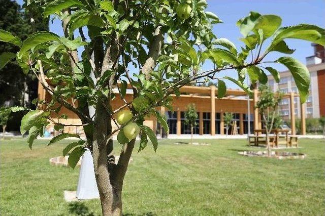 Bağcılar G&uuml;neşli Semt Parkı&rsquo;na Kavuştu 3