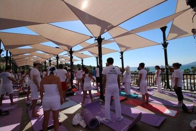 Uluslararası Yoga Festivali Didim’de Yapıldı