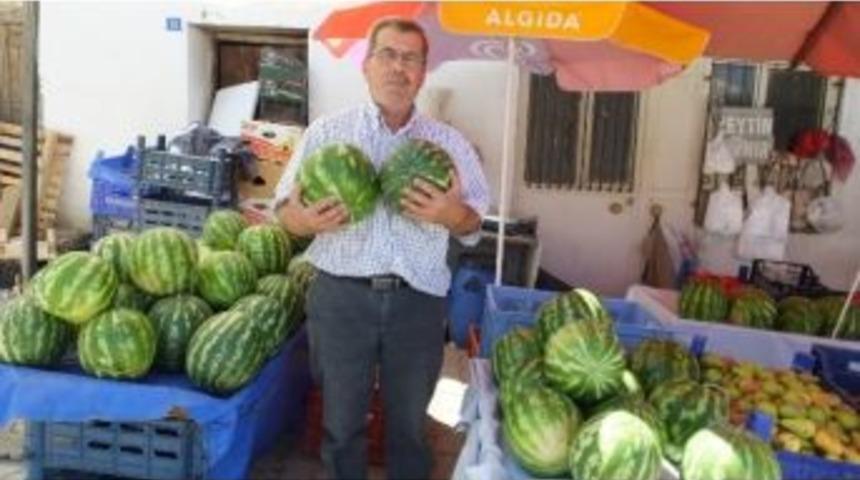 Burhaniye&rsquo;de Yerli Karpuz &Ccedil;ıktı