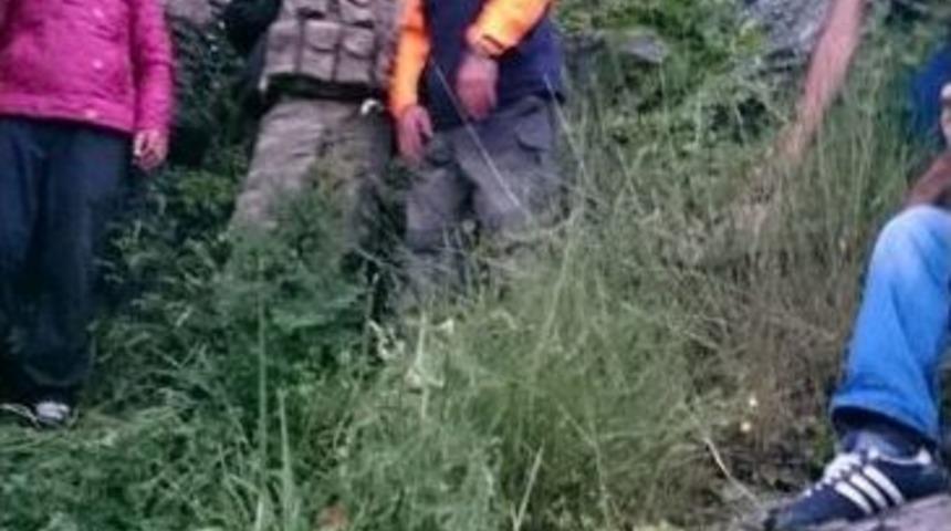 Kars&rsquo;taki Ayı Saldırısı