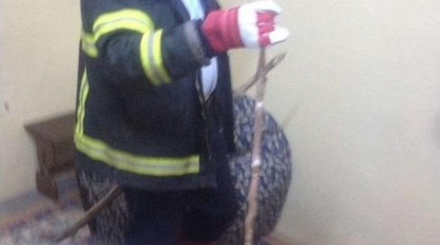 Eve Giren Yılan Panik Yaşattı