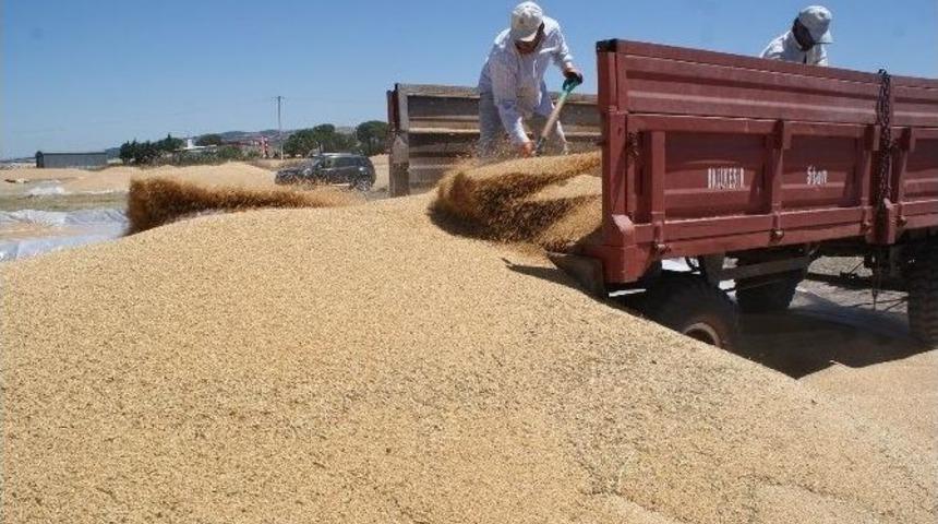 &Ccedil;ift&ccedil;i, Toprak Mahsulleri Ofisini Tercih Etti