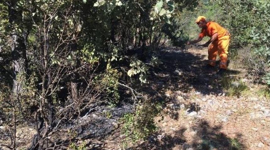 Bursa&rsquo;da Orman Yangını