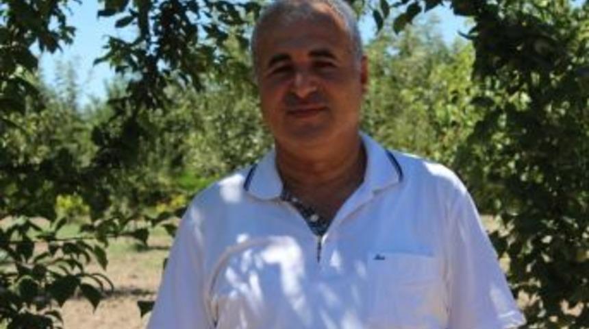 Yağmurdan Etkilenen Kayısı &Uuml;reticilerine Tavsiye