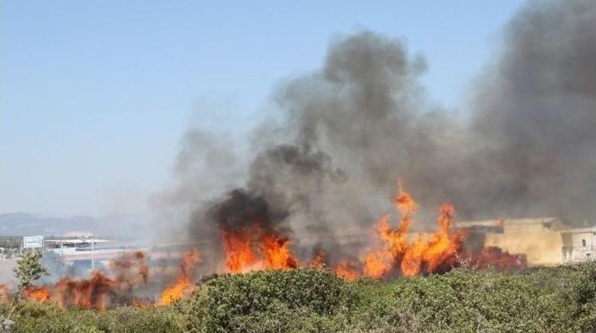 Didim&rsquo;de Makilik Yangını Korkuttu