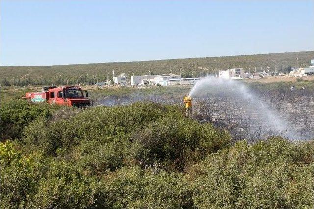 Didim’de Makilik Yangını Korkuttu