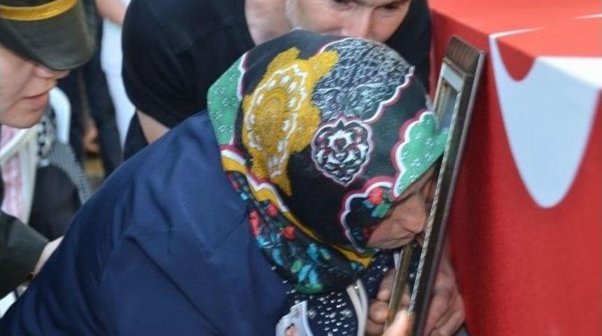 Şehit Annesi: "bombalı Tuzakları Kuran Elleri Felç Et Allah’ım”