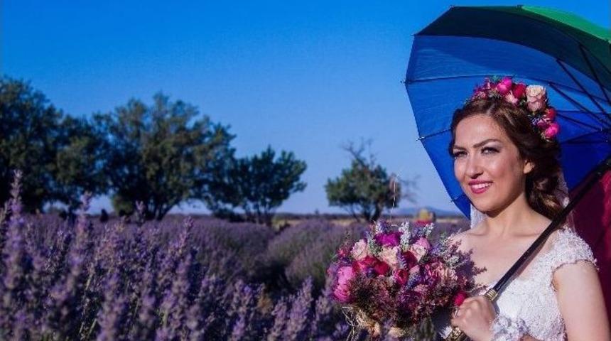 Isparta, Gül Yağından Sonra Lavantada Da Dünyaya Rakip Oldu