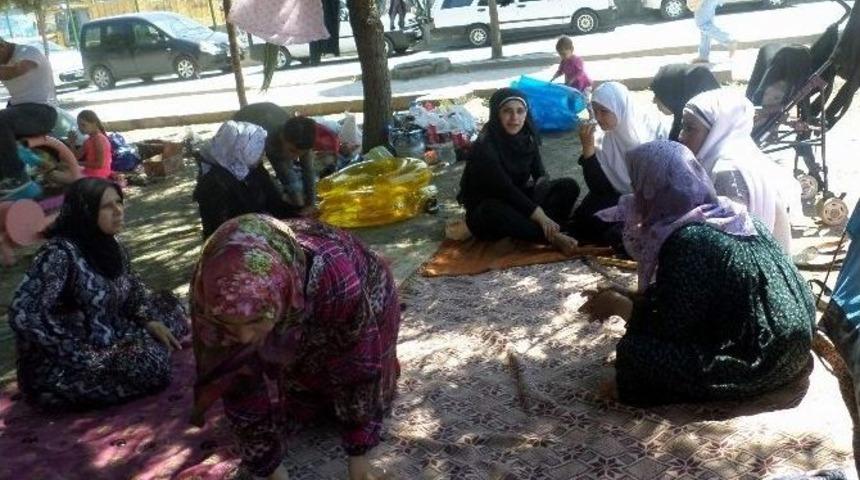 Suriyelilerin Deniz Keyfi