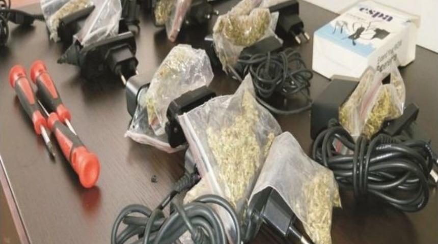 Şarj Aletlerinin İ&ccedil;erisinden Bonzai &Ccedil;ıktı