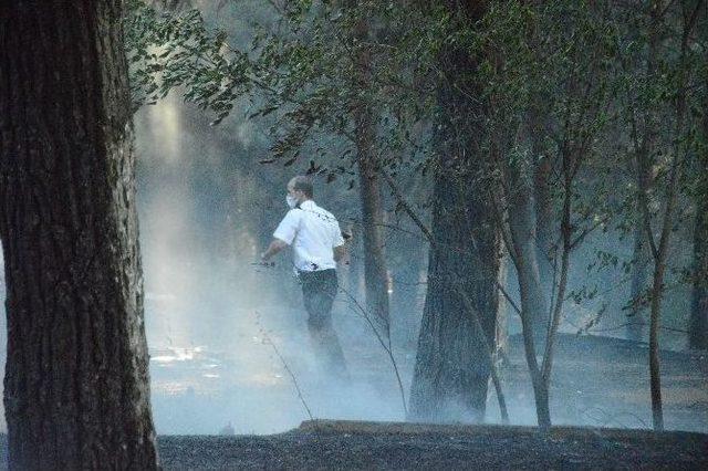 Diyarbakır’da Benzinliğin Yanında Çıkan Yangın Korkuttu