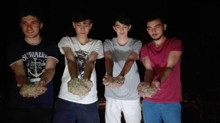 Birgün Sineklerinin ‘ölüm Dansı’ Başladı G2