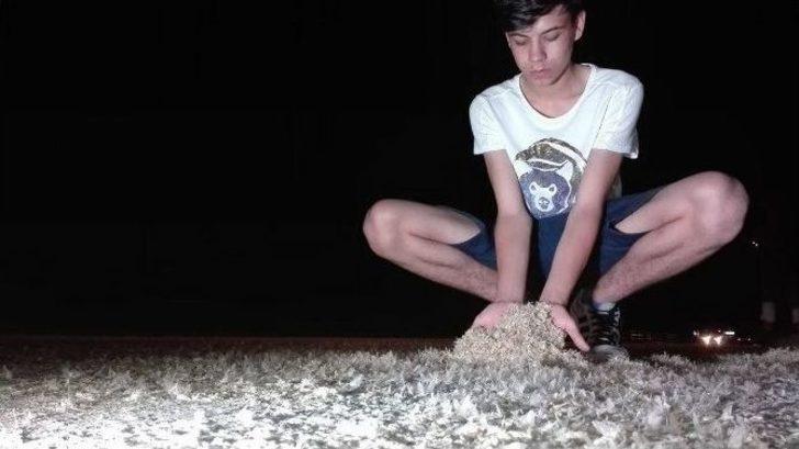 Birgün Sineklerinin ‘ölüm Dansı’ Başladı G5