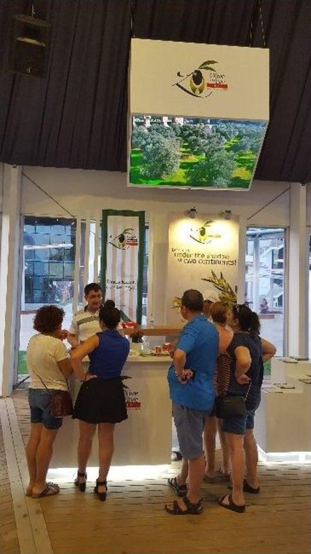 Zztk, Expo 2016 Antalya’da Tanıtım Atağında