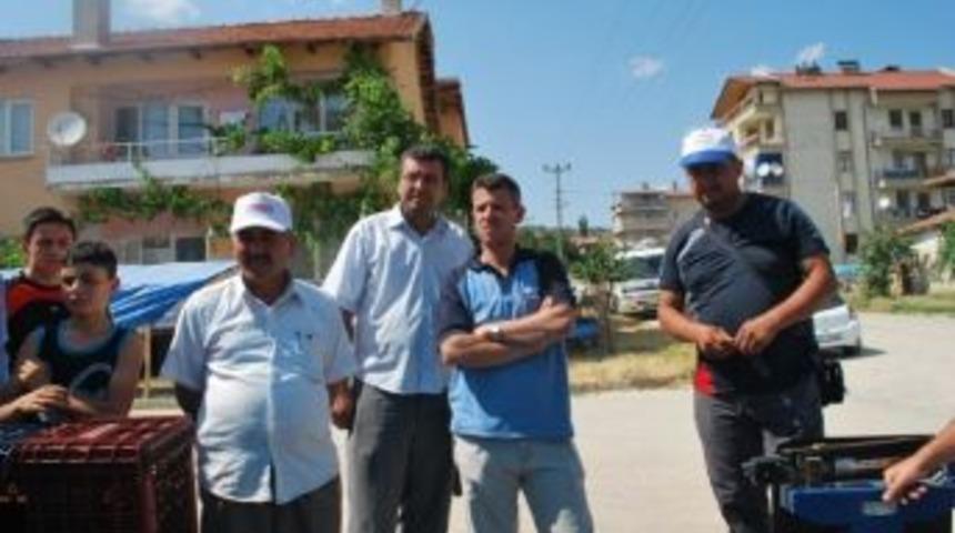 Kantarcılar Vişne Alımını Boykot Etti