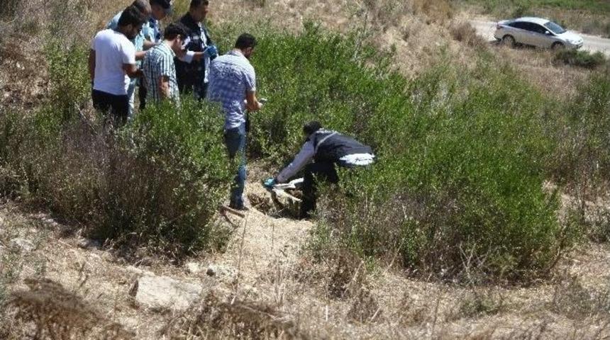 Bebek Cesedi Sandılar K&ouml;pek Leşi &Ccedil;ıktı