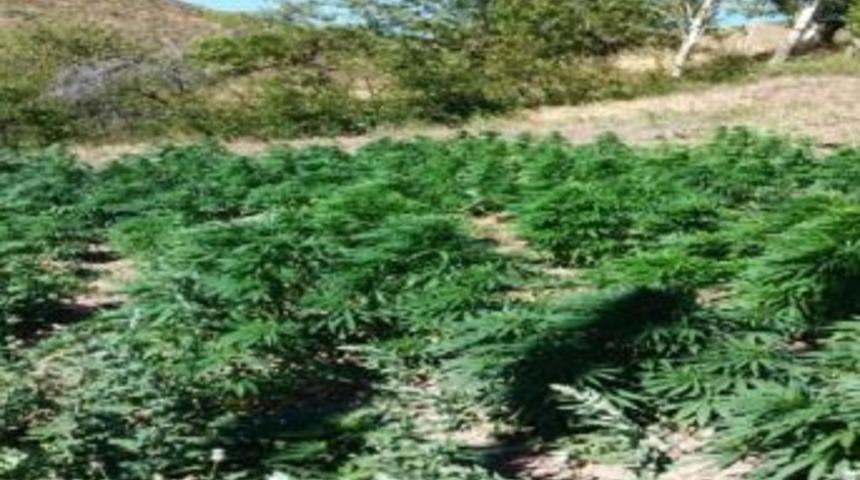 Malatya&rsquo;da Jandarma Zehir Tacirlerine Ve Dolandırıcılara Ge&ccedil;it Vermiyor