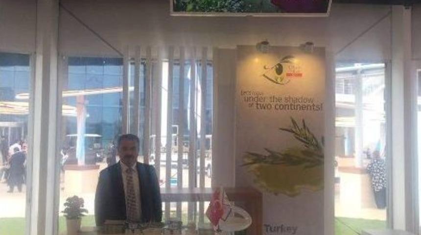 Zeytinyağı T&uuml;ketiminde Hedef 5 Kilogram