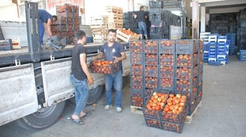 Rusya İle Normalleşme Meyve Ve Sebze Fiyatlarını Y&uuml;kseltti