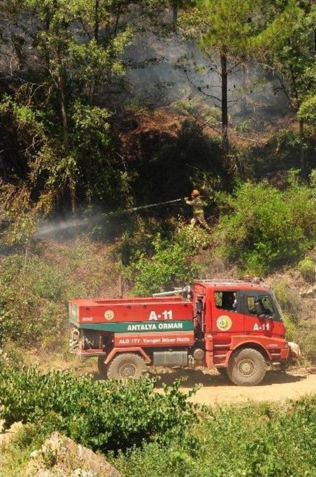 Alanya’daki Orman Yangını Kontrol Altına Alındı