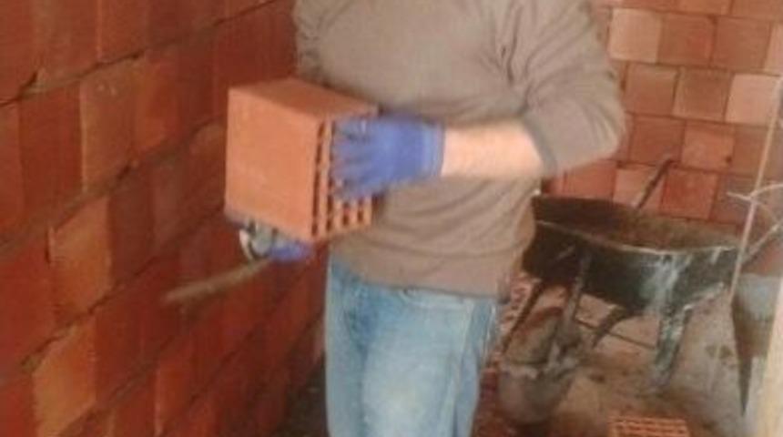 Arı &Ouml;ld&uuml;rd&uuml;