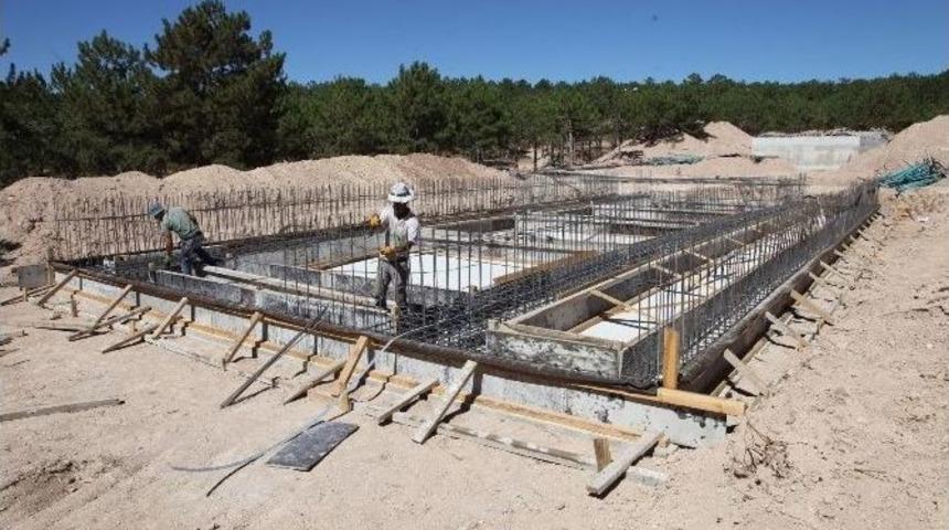 Zafran Mesire Alanında D&ouml;n&uuml;ş&uuml;m S&uuml;r&uuml;yor