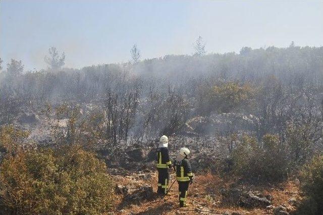 Muğla’da Orman Yangını