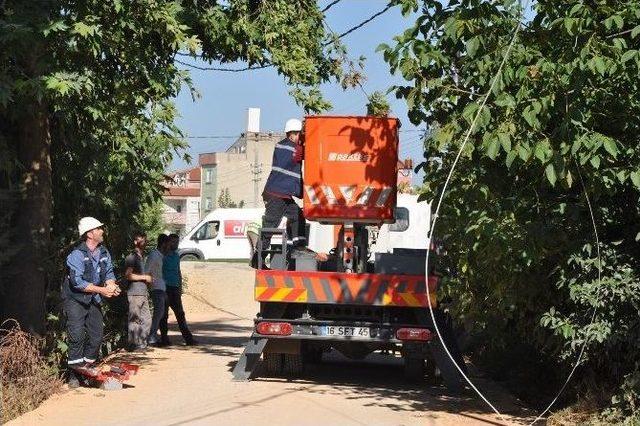 Dorse Enerji Hattını Kopardı, Sürücü Akıma Kapılarak Ağır Yaralandı