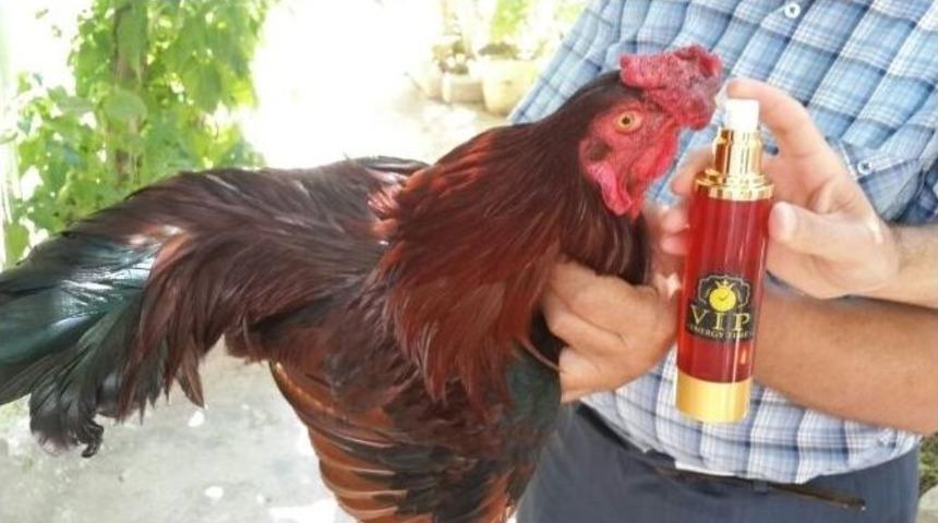 Tavuklar İ&ccedil;in Antimikrobiyal Enerji İ&ccedil;eceği &Uuml;retildi