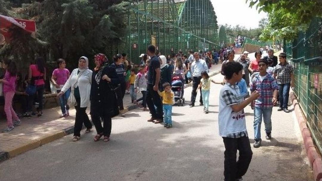 Gaziantep Hayvanat Bah&ccedil;esi&rsquo;ne Ziyaret&ccedil;i Akını
