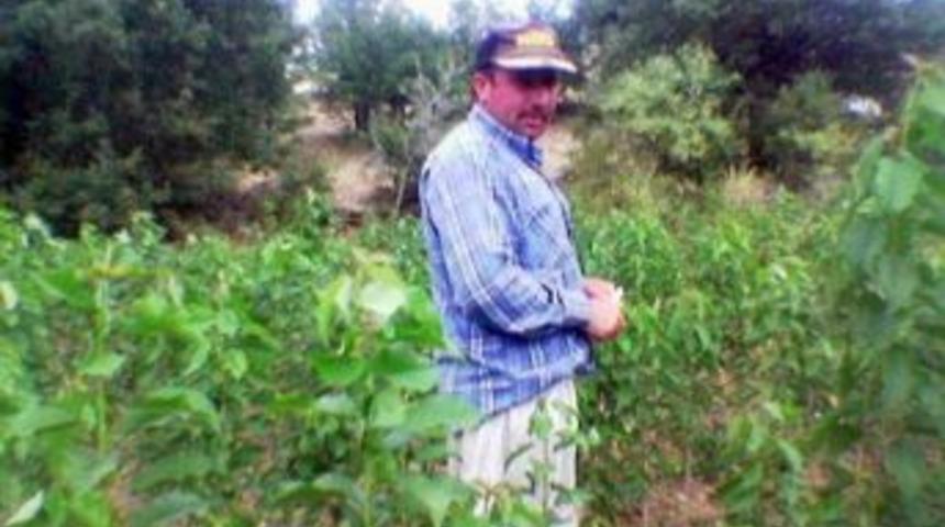 Eşini D&ouml;verek &Ouml;ld&uuml;rd&uuml;