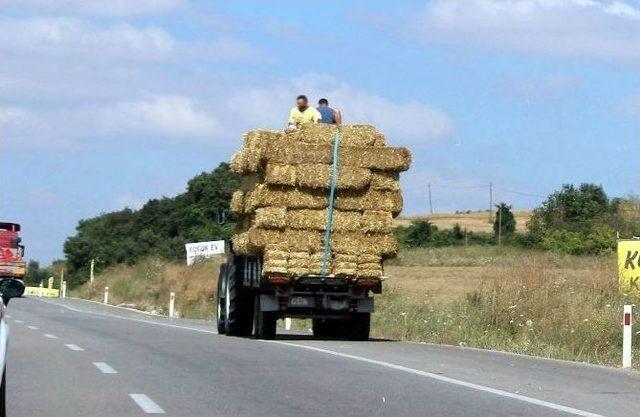 Saman Balyaları Üzerinde Tehlikeli Yolculuk