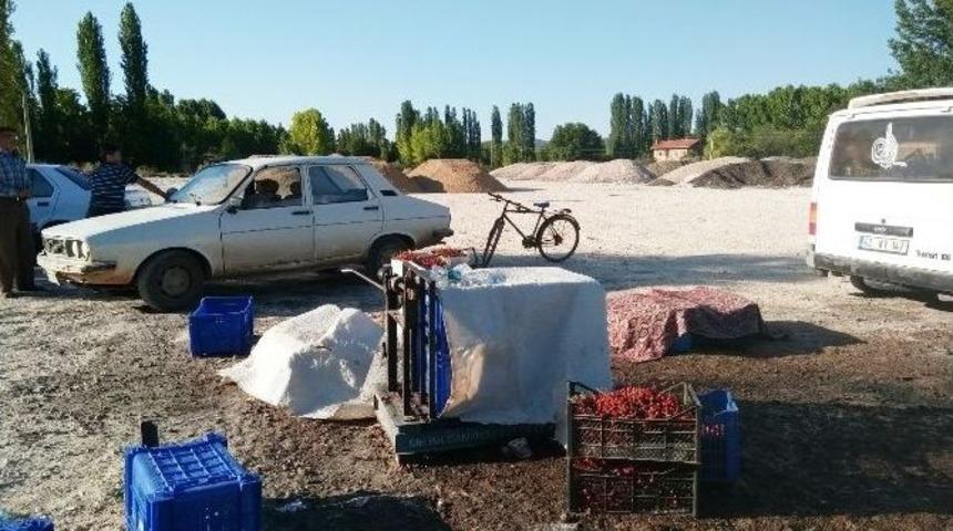 Vişne &Uuml;reticisi &Uuml;r&uuml;n&uuml;n&uuml; Satamıyor